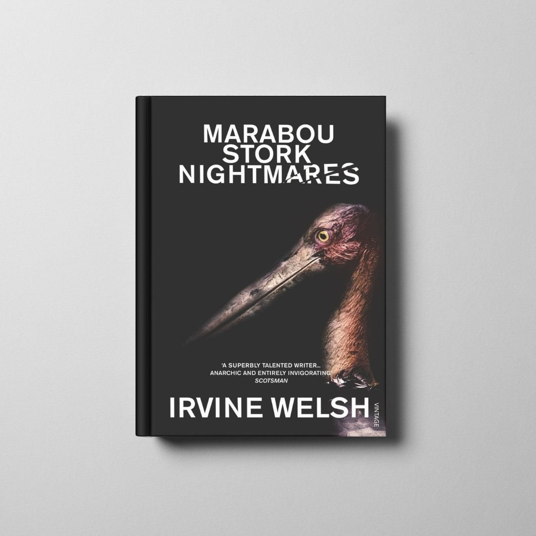 Marabou Stork Nightmares
