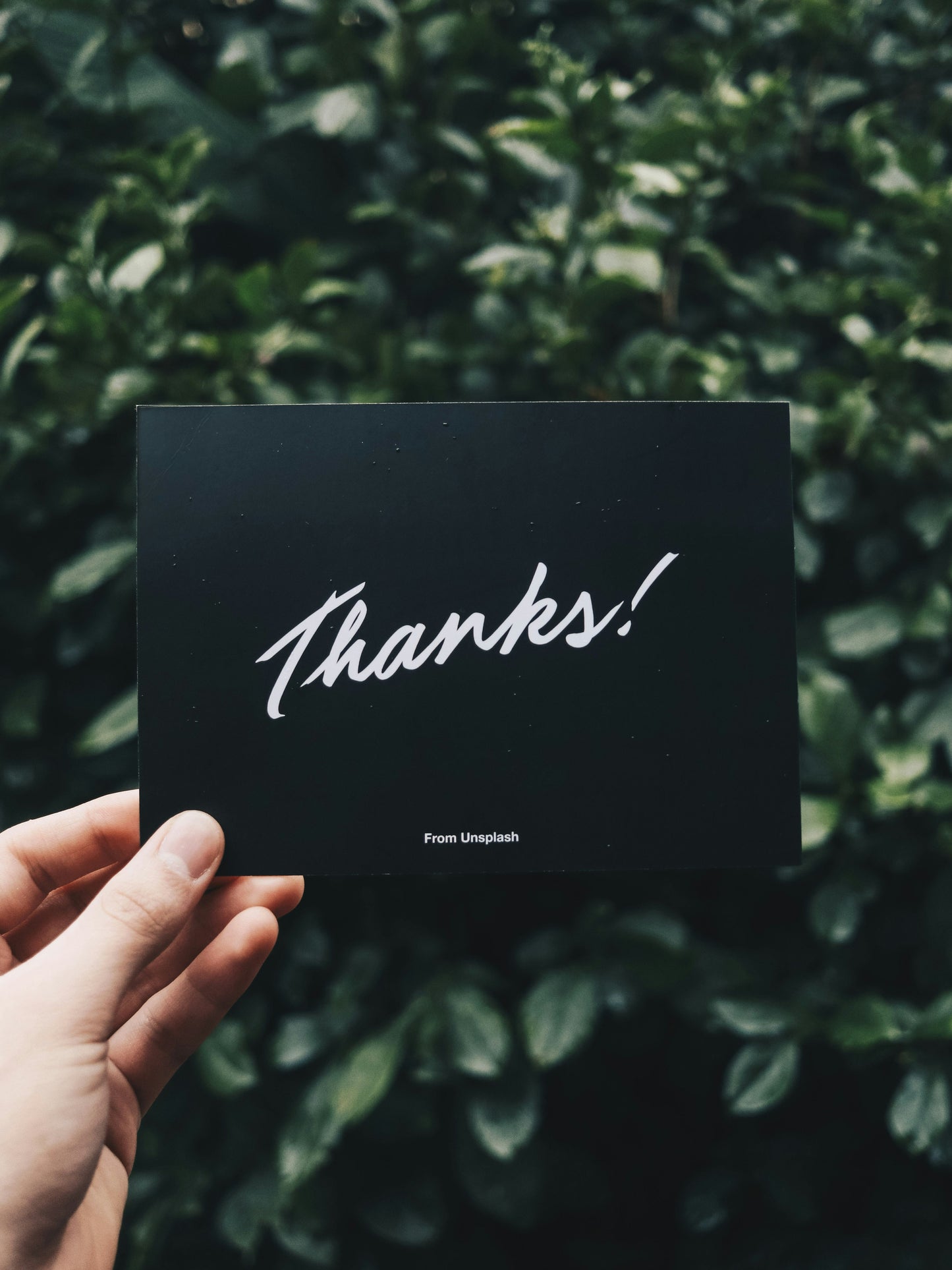 Booqland Gift Card