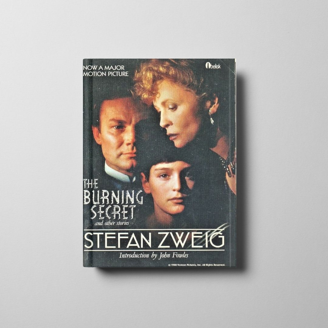 Burning Secret and Other Stories Book Cover