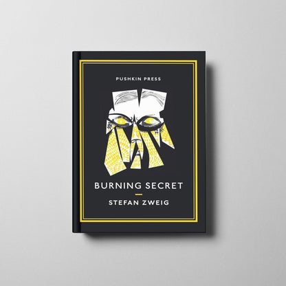 Burning Secret and Other Stories Book Cover