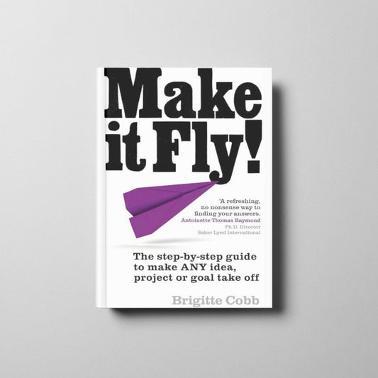 Make It Fly! Book Cover