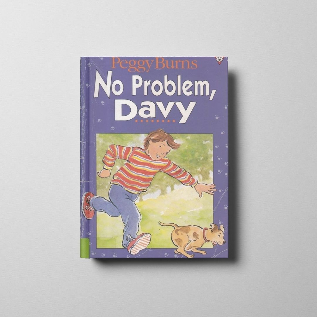 No Problem, Davy Book Cover