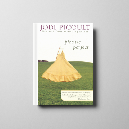 Picture Perfect Book Cover