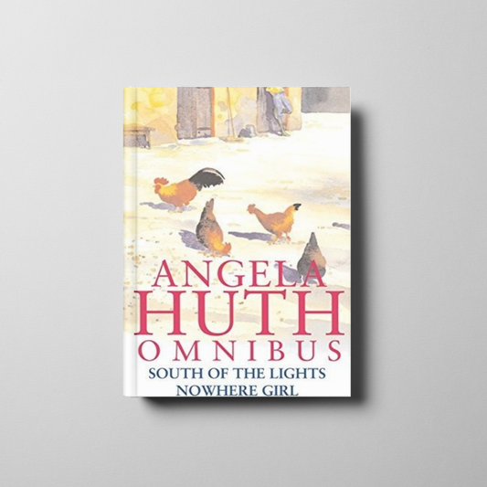 South of the Lights Book Cover
