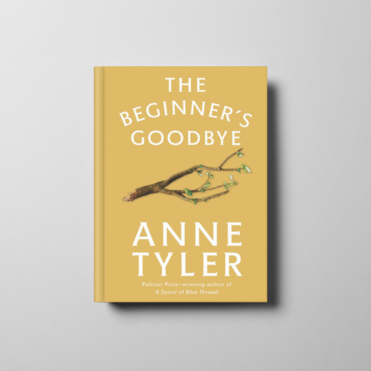 The Beginners Goodbye Book Cover