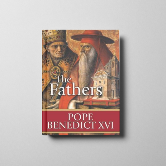 The Fathers Book Cover