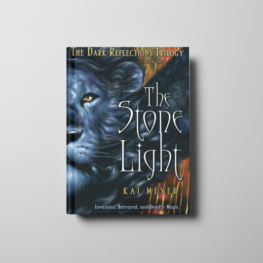 The Stone Light Book Cover