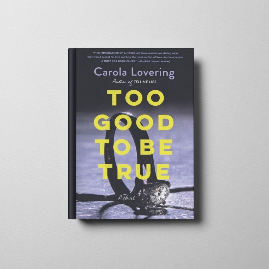 Too Good to Be True Book Cover
