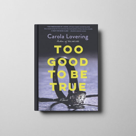 Too Good to Be True Book Cover