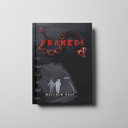 Traces: Framed! Book Cover
