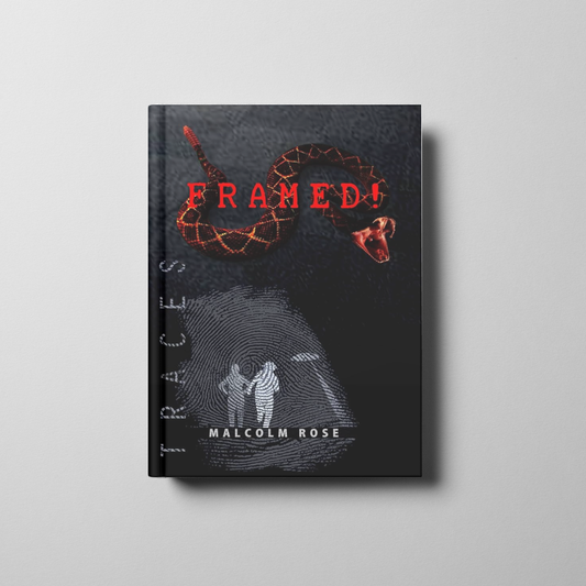 Traces: Framed! Book Cover