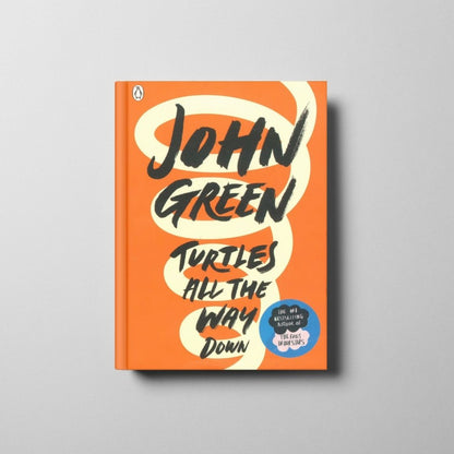 Turtles All the Way Down Book Cover