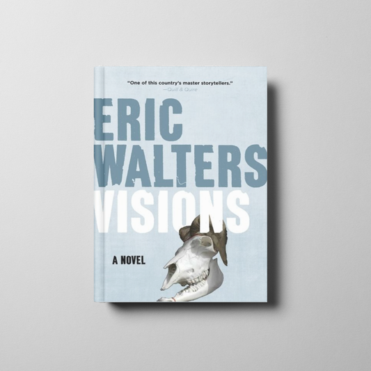 Visions Book Cover